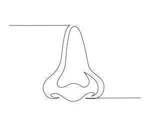 Revision rhinoplasty nose shape